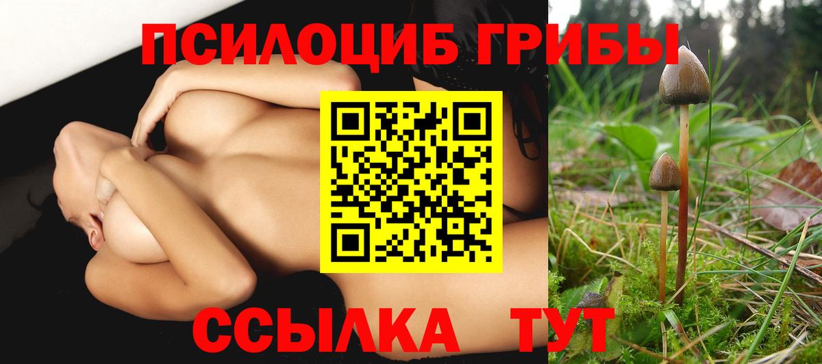 Галлюциногенные грибы Psilocybe Домодедово